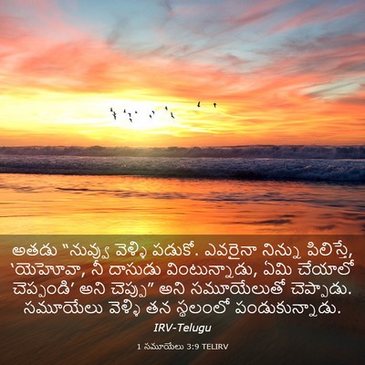 Picture 03 - 1 సమూయేలు 3:9 TELIRV - అతడు “నువ్వు - Bible Verse Picture