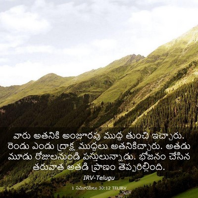 Picture 03 - 1 సమూయేలు 30:12 TELIRV - వారు అతనికి - Bible Verse Picture