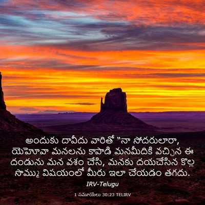 Picture 03 - 1 సమూయేలు 30:23 TELIRV - అందుకు దావీదు - Bible Verse Picture