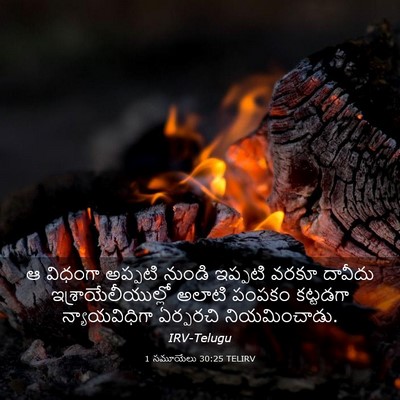 Picture 03 - 1 సమూయేలు 30:25 TELIRV - ఆ విధంగా అప్పటి - Bible Verse Picture