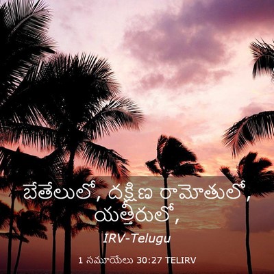 Picture 03 - 1 సమూయేలు 30:27 TELIRV - బేతేలులో, దక్షిణ - Bible Verse Picture