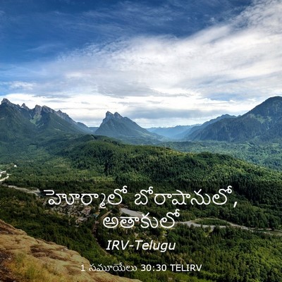 Picture 03 - 1 సమూయేలు 30:30 TELIRV - హోర్మాలో - Bible Verse Picture
