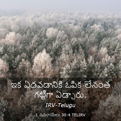 Picture 03 - 1 సమూయేలు 30:4 TELIRV - ఇక ఏడవడానికి ఓపిక - Bible Verse Picture