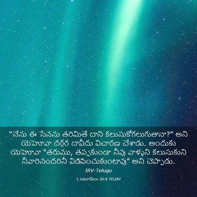 Picture 03 - 1 సమూయేలు 30:8 TELIRV - “నేను ఈ సేనను - Bible Verse Picture