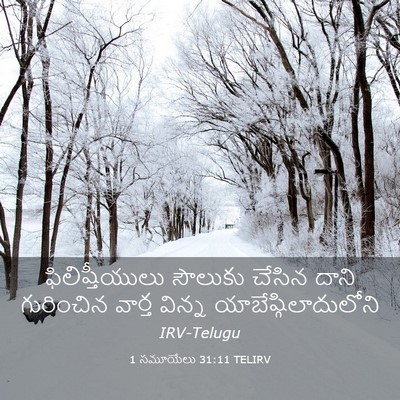 Picture 03 - 1 సమూయేలు 31:11 TELIRV - ఫిలిష్తీయులు - Bible Verse Picture