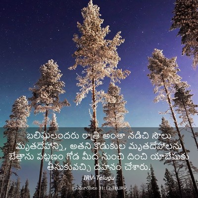 Picture 03 - 1 సమూయేలు 31:12 TELIRV - బలిష్టులందరు - Bible Verse Picture