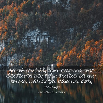 Picture 03 - 1 సమూయేలు 31:8 TELIRV - తరువాతి రోజు - Bible Verse Picture