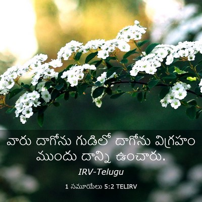 Picture 03 - 1 సమూయేలు 5:2 TELIRV - వారు దాగోను - Bible Verse Picture