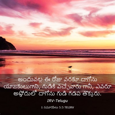 Picture 03 - 1 సమూయేలు 5:5 TELIRV - అందువల్ల ఈ రోజు - Bible Verse Picture