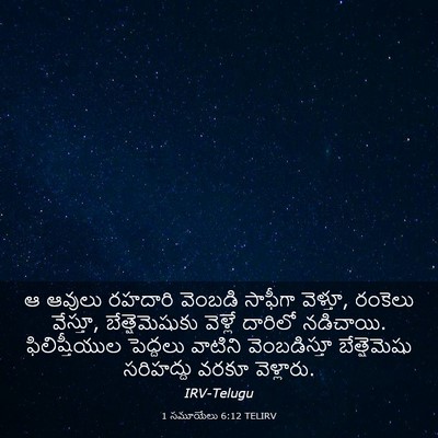 Picture 03 - 1 సమూయేలు 6:12 TELIRV - ఆ ఆవులు రహదారి - Bible Verse Picture
