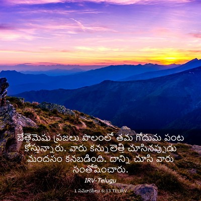 Picture 03 - 1 సమూయేలు 6:13 TELIRV - బేత్షెమెషు ప్రజలు - Bible Verse Picture