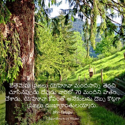 Picture 03 - 1 సమూయేలు 6:19 TELIRV - బేత్షెమెషు ప్రజలు - Bible Verse Picture
