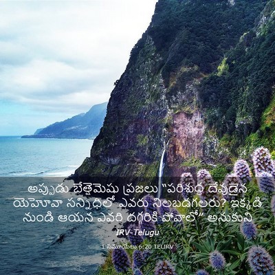 Picture 03 - 1 సమూయేలు 6:20 TELIRV - అప్పుడు - Bible Verse Picture