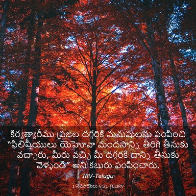 Picture 03 - 1 సమూయేలు 6:21 TELIRV - కిర్యత్యారీము - Bible Verse Picture