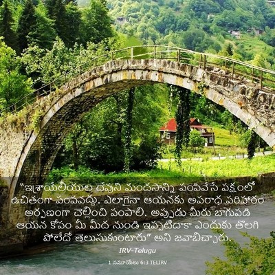 Picture 03 - 1 సమూయేలు 6:3 TELIRV - “ఇశ్రాయేలీయుల - Bible Verse Picture