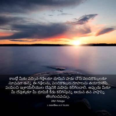Picture 03 - 1 సమూయేలు 6:5 TELIRV - కాబట్టి మీకు - Bible Verse Picture