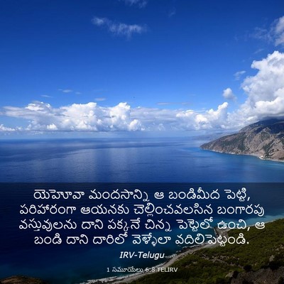 Picture 03 - 1 సమూయేలు 6:8 TELIRV - యెహోవా మందసాన్ని - Bible Verse Picture