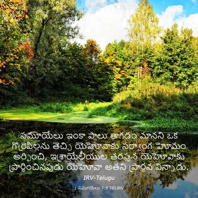 Picture 03 - 1 సమూయేలు 7:9 TELIRV - సమూయేలు ఇంకా పాలు - Bible Verse Picture