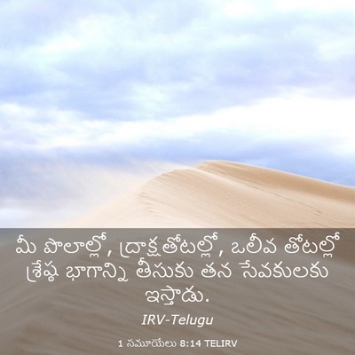 Picture 03 - 1 సమూయేలు 8:14 TELIRV - మీ పొలాల్లో, - Bible Verse Picture