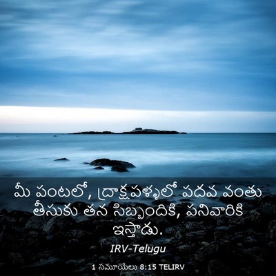 Picture 03 - 1 సమూయేలు 8:15 TELIRV - మీ పంటలో, - Bible Verse Picture