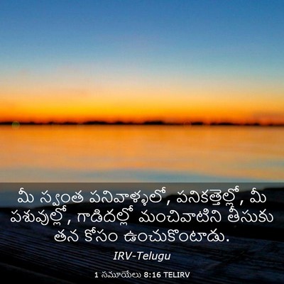 Picture 03 - 1 సమూయేలు 8:16 TELIRV - మీ స్వంత - Bible Verse Picture