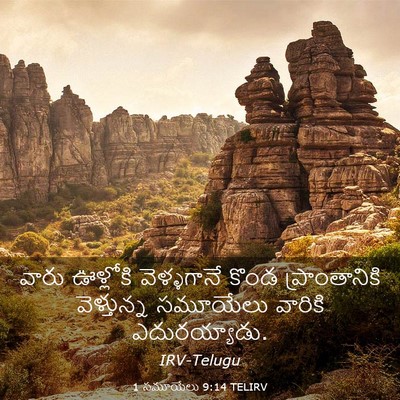 Picture 03 - 1 సమూయేలు 9:14 TELIRV - వారు ఊళ్లోకి - Bible Verse Picture