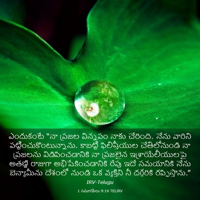Picture 03 - 1 సమూయేలు 9:16 TELIRV - ఎందుకంటే “నా - Bible Verse Picture