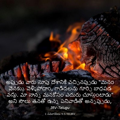 Picture 03 - 1 సమూయేలు 9:5 TELIRV - అప్పుడు వారు సూపు - Bible Verse Picture