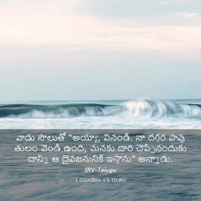 Picture 03 - 1 సమూయేలు 9:8 TELIRV - వాడు సౌలుతో - Bible Verse Picture