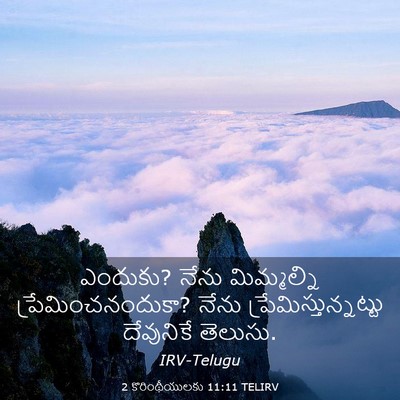 Picture 03 - 2 కొరింథీయులకు 11:11 TELIRV - ఎందుకు? నేను - Bible Verse Picture