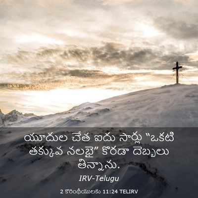 Picture 03 - 2 కొరింథీయులకు 11:24 TELIRV - యూదుల చేత ఐదు - Bible Verse Picture