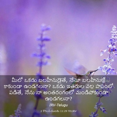 Picture 03 - 2 కొరింథీయులకు 11:29 TELIRV - మీలో ఒకడు - Bible Verse Picture