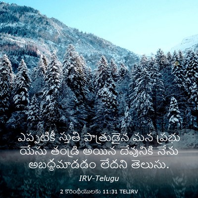 Picture 03 - 2 కొరింథీయులకు 11:31 TELIRV - ఎప్పటికీ స్తుతి - Bible Verse Picture