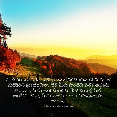 Picture 03 - 2 కొరింథీయులకు 11:4 TELIRV - ఎందుకంటే ఎవరైనా - Bible Verse Picture