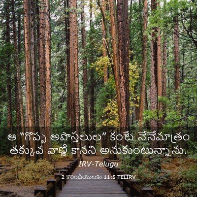 Picture 03 - 2 కొరింథీయులకు 11:5 TELIRV - ఆ “గొప్ప - Bible Verse Picture