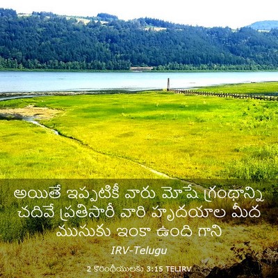 Picture 03 - 2 కొరింథీయులకు 3:15 TELIRV - అయితే ఇప్పటికీ - Bible Verse Picture