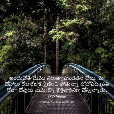 Picture 03 - 2 కొరింథీయులకు 4:16 TELIRV - అందుచేత మేము - Bible Verse Picture
