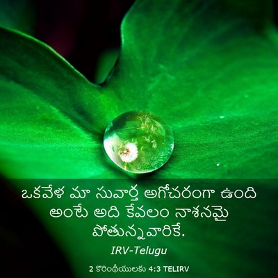 Picture 03 - 2 కొరింథీయులకు 4:3 TELIRV - ఒకవేళ మా సువార్త - Bible Verse Picture