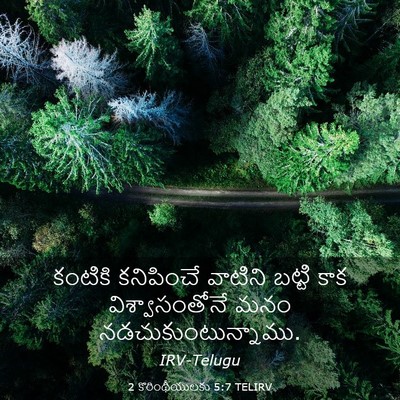 Picture 03 - 2 కొరింథీయులకు 5:7 TELIRV - కంటికి కనిపించే - Bible Verse Picture