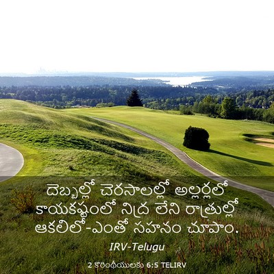 Picture 03 - 2 కొరింథీయులకు 6:5 TELIRV - దెబ్బల్లో - Bible Verse Picture