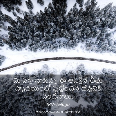 Picture 03 - 2 కొరింథీయులకు 8:16 TELIRV - మీ పట్ల నాకున్న ఈ - Bible Verse Picture