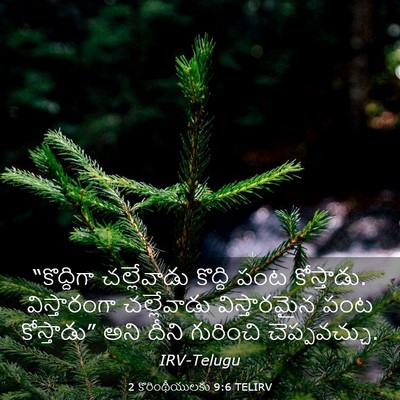 Picture 03 - 2 కొరింథీయులకు 9:6 TELIRV - “కొద్దిగా - Bible Verse Picture