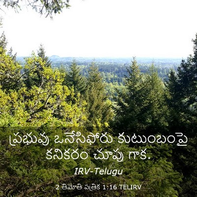 Picture 03 - 2 తిమోతి పత్రిక 1:16 TELIRV - ప్రభువు ఒనేసిఫోరు - Bible Verse Picture