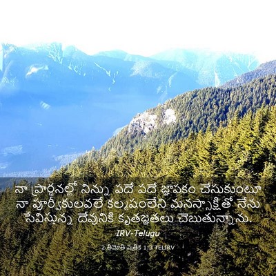 Picture 03 - 2 తిమోతి పత్రిక 1:3 TELIRV - నా ప్రార్థనల్లో - Bible Verse Picture