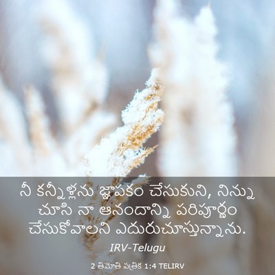 Picture 03 - 2 తిమోతి పత్రిక 1:4 TELIRV - నీ కన్నీళ్లను - Bible Verse Picture