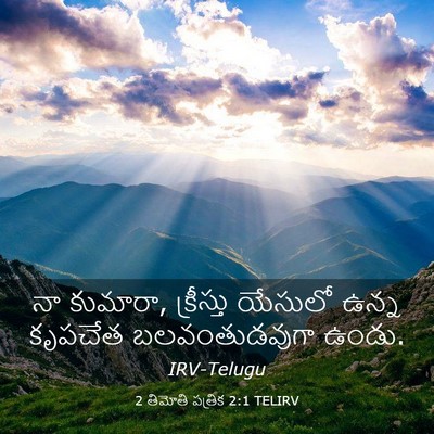Picture 03 - 2 తిమోతి పత్రిక 2:1 TELIRV - నా కుమారా, - Bible Verse Picture
