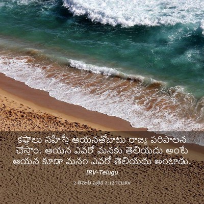 Picture 03 - 2 తిమోతి పత్రిక 2:12 TELIRV - కష్టాలు సహిస్తే - Bible Verse Picture