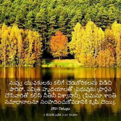Picture 03 - 2 తిమోతి పత్రిక 2:22 TELIRV - నువ్వు యువకులకు - Bible Verse Picture