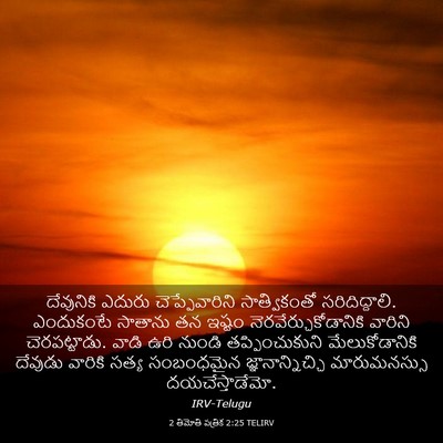Picture 03 - 2 తిమోతి పత్రిక 2:25 TELIRV - దేవునికి ఎదురు - Bible Verse Picture
