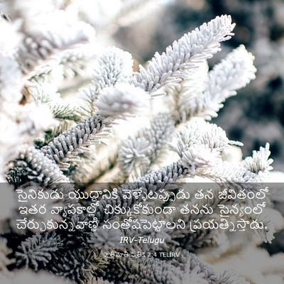 Picture 03 - 2 తిమోతి పత్రిక 2:4 TELIRV - సైనికుడు - Bible Verse Picture